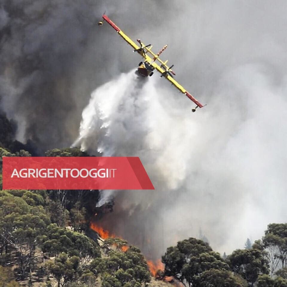 Foto Sandro Catanese